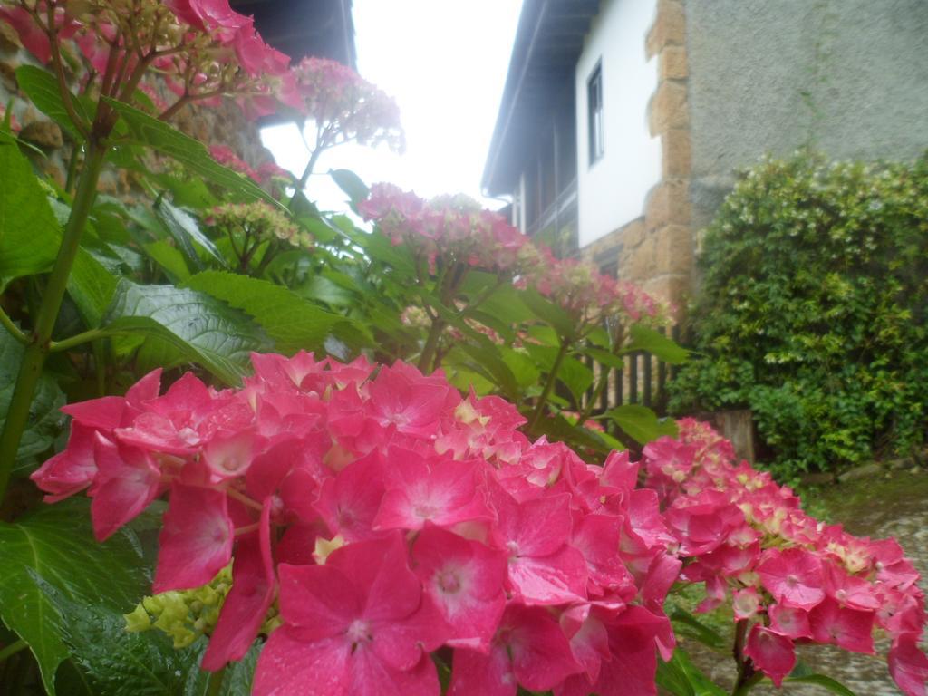 Casa Rural La Retuerta นาวา ภายนอก รูปภาพ